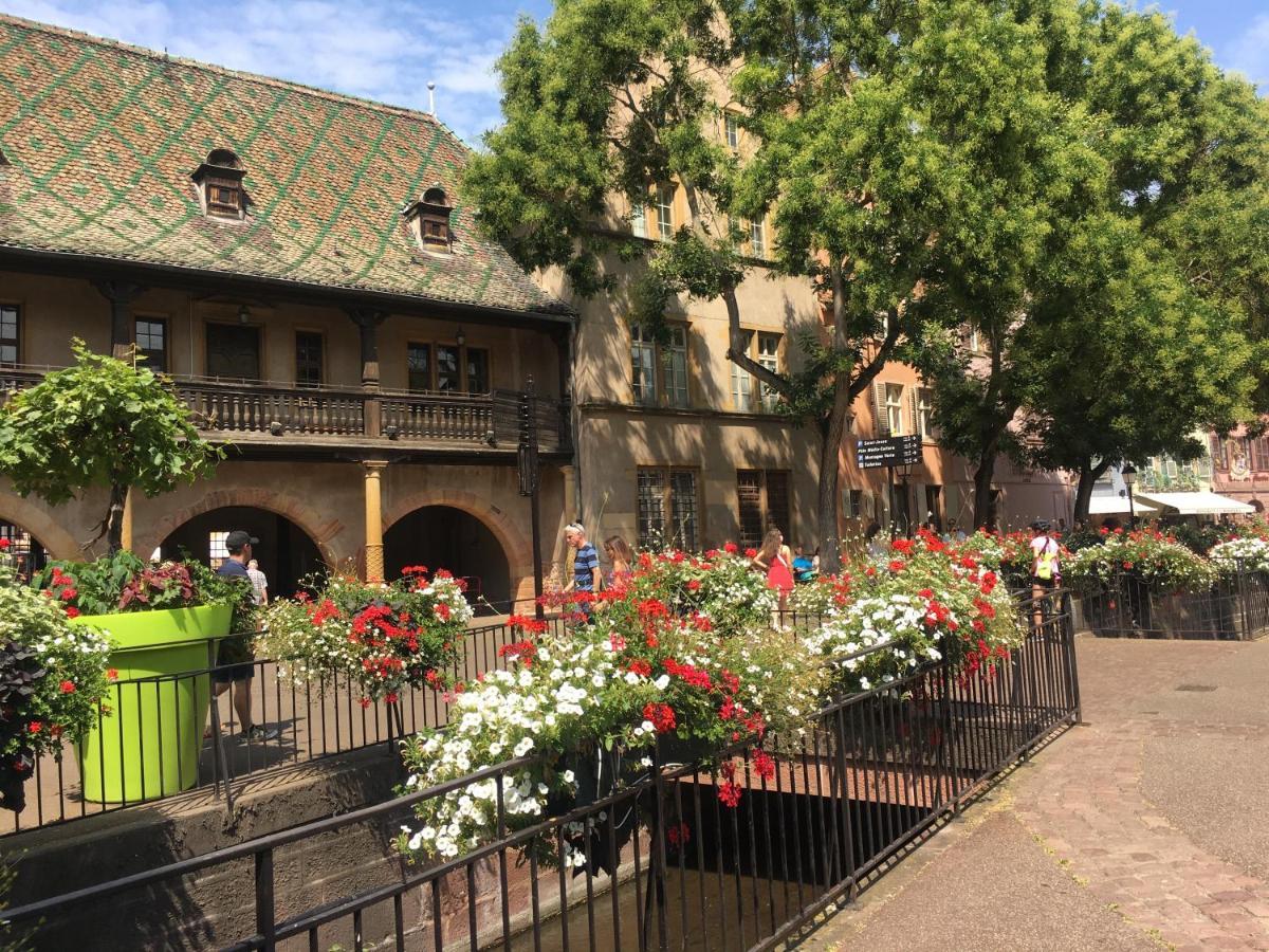 Centre Historique Colmar La Collegiale Resort Exterior foto